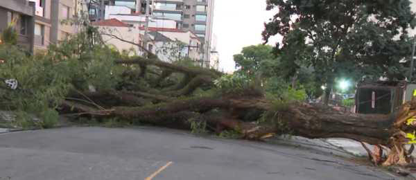Após ventania, Grande SP segue com quase 1,5 milhão de imóveis sem luz
