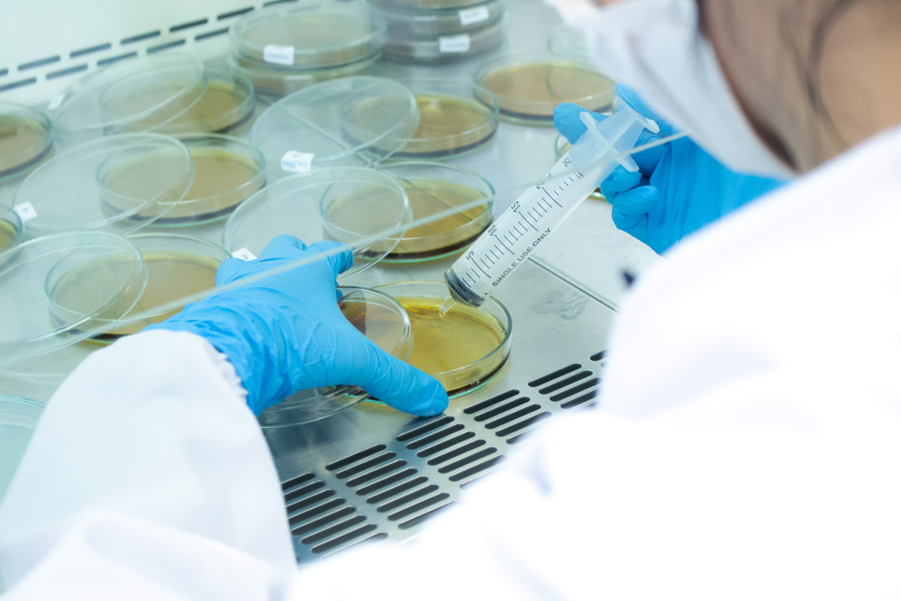 Fungos mais resistentes desafiam a ciência